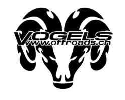 Automobil-Fachmann*frau / Automobil-Mechatroniker*in / Automechaniker*in (100%) bei VOGELS OFFROADS AG in Lyssach